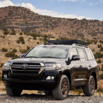 2025 Toyota Land Cruiser Interior