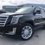 2026 Cadillac Escalade Pictures